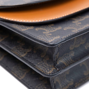 CELINE DOUBLE FLAP TRIOMPHE CANVAS WALLET ON STRAP GHW