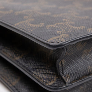 CELINE DOUBLE FLAP TRIOMPHE CANVAS WALLET ON STRAP