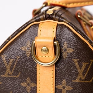LOUIS VUITTON SPEEDY 25 MONOGRAM CANVAS (MICROCHIP)