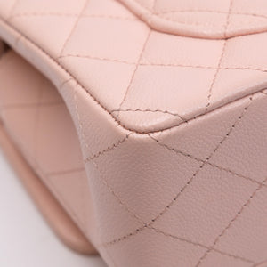 CHANEL CLASSIC DOUBLE FLAP SMALL LGHW (MICROCHIP)