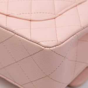 CHANEL CLASSIC DOUBLE FLAP SMALL LGHW (MICROCHIP)