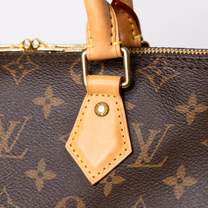 LOUIS VUITTON SPEEDY 25 MONOGRAM CANVAS (MICROCHIP)