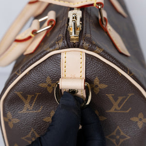 LOUIS VUITTON SPEEDY 25 MONOGRAM CANVAS