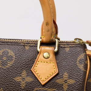 LOUIS VUITTON NANO SPEEDY MONOGRAM CANVAS GHW