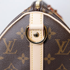 LOUIS VUITTON SPEEDY 25 MONOGRAM CANVAS