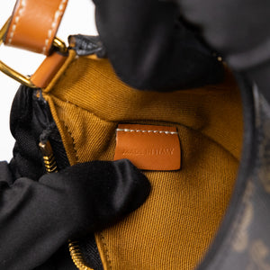 CELINE MINI AVA BAG TRIOMPHE CANVAS / CALFSKIN BROWN GHW