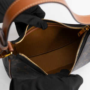 CELINE MEDIUM AVA BAG TRIOMPHE CANVAS / CALFSKIN BROWN GHW