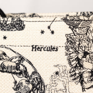 DIOR MEDIUM BOOK TOTE TOILE DE JOUY ZODIAC EMBROIDERY