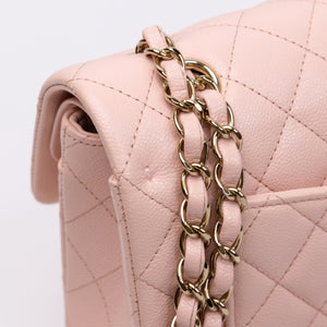 CHANEL CLASSIC DOUBLE FLAP SMALL LGHW (MICROCHIP)