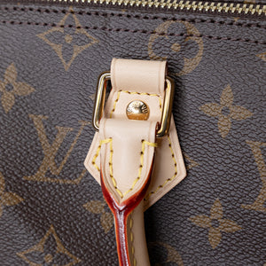 LOUIS VUITTON SPEEDY 25 MONOGRAM CANVAS