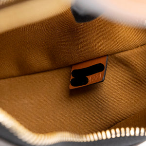 CELINE MEDIUM AVA BAG TRIOMPHE CANVAS / CALFSKIN BROWN GHW