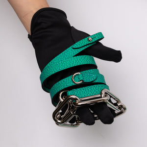 LOUIS VUITTON PETIT SAC PLAT XS VIRGIL ABLOH TAURILLON ILLUSION BLUE / GREEN  SHW