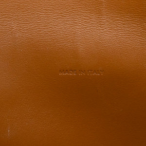 CELINE DOUBLE FLAP TRIOMPHE CANVAS WALLET ON STRAP GHW