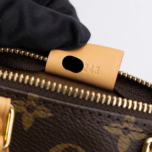 LOUIS VUITTON NANO SPEEDY MONOGRAM CANVAS GHW
