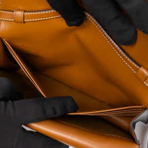 CELINE DOUBLE FLAP TRIOMPHE CANVAS WALLET ON STRAP