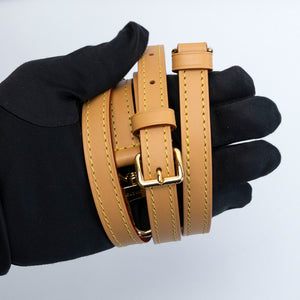 LOUIS VUITTON NANO SPEEDY MONOGRAM CANVAS GHW (MICROCHIP)