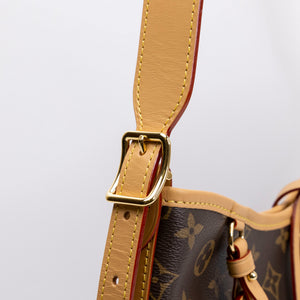 LOUIS VUITTON CARRYALL PM BROWN MONOGRAM CANVAS GHW (MICROCHIP)