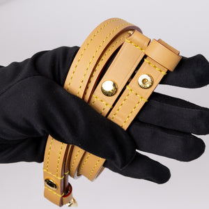 LOUIS VUITTON IVY WALLET ON CHAIN MONOGRAM CANVAS GHW