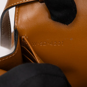 CELINE DOUBLE FLAP TRIOMPHE CANVAS WALLET ON STRAP