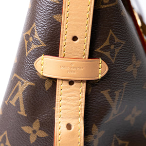 LOUIS VUITTON CARRYALL PM