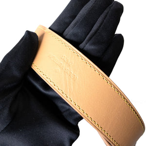 LOUIS VUITTON CARRYALL PM