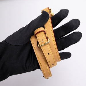 LOUIS VUITTON NANO SPEEDY MONOGRAM CANVAS GHW