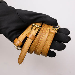 LOUIS VUITTON NANO SPEEDY MONOGRAM CANVAS GHW