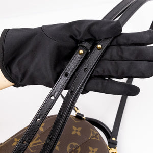 LOUIS VUITTON PALM SPRINGS MINI BACKPACK BROWN/ MULTICOLORED MONOGRAM