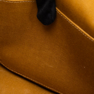 CELINE FLOCO BAG IN TRIOMPHE CANVAS GHW