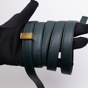 CELINE MEDIUM CLASSIC BOX BAG GOATSKIN AMAZON GREEN GHW