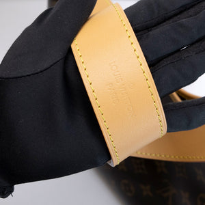 LOUIS VUITTON CARRYALL PM MONOGRAM CANVAS GHW (MICROCHIP)
