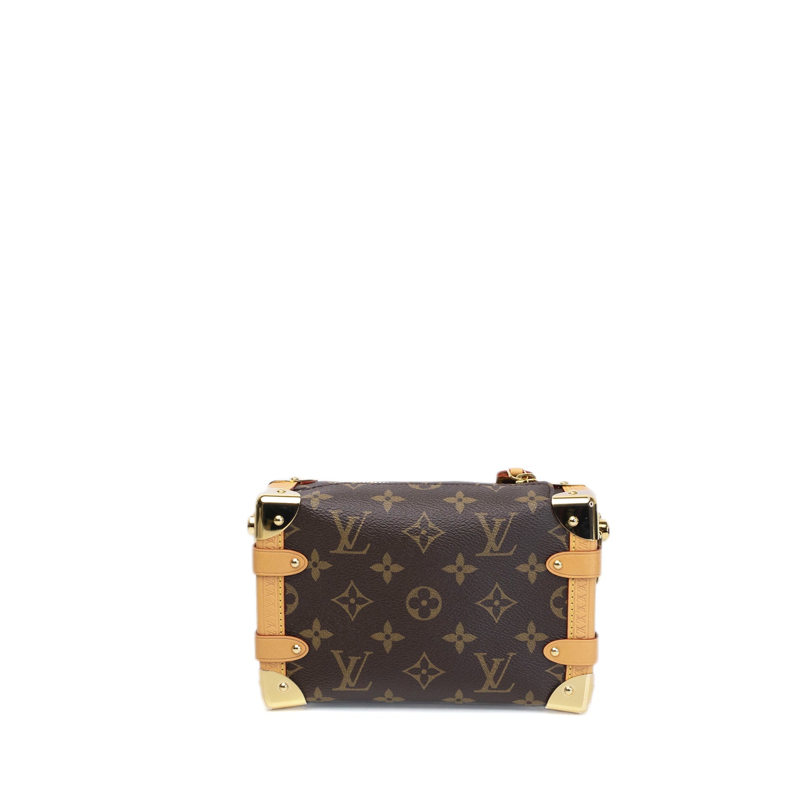 LOUIS VUITTON SIDE TRUNK PM MONOGRAM CANVAS GHW (MICROCHIP)