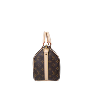 LOUIS VUITTON SPEEDY 25 MONOGRAM CANVAS