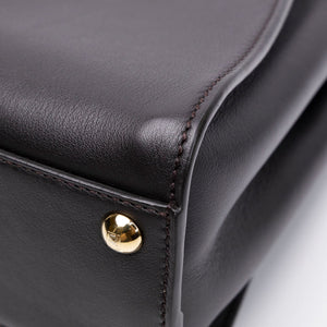 FENDI MINI PEEKABOO BAG DARK BROWN CALFSKIN LEATHER GHW
